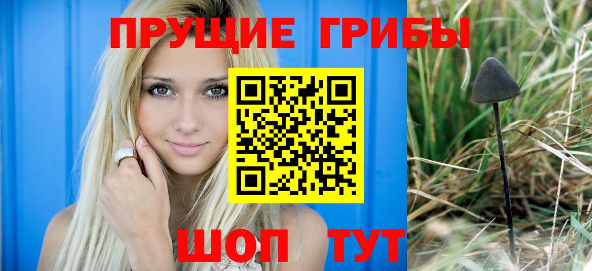 Магнитогорск  Псилоцибиновые грибы Cubensis  Вход с VPN 
